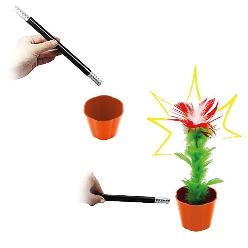 Appearing Flower
